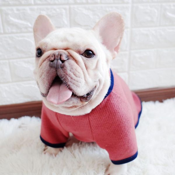 dog apparel winter autumn classics casual sweater puppy turtleneck cloth for pet hoodies high collar costume supply
dog apparel winter autumn classics casual sweater puppy turtleneck cloth for pet hoodies high collar costume supply