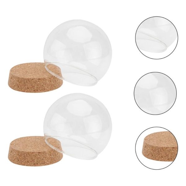 dishes & plates 2pcs round shaped glass display cover jar container preserved flower
dishes & plates 2pcs round shaped glass display cover jar container preserved flower