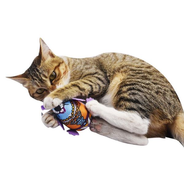 cat toys colorful series mice with catnip and sound juguetes gatos katten speelgoed interactive pet
cat toys colorful series mice with catnip and sound juguetes gatos katten speelgoed interactive pet