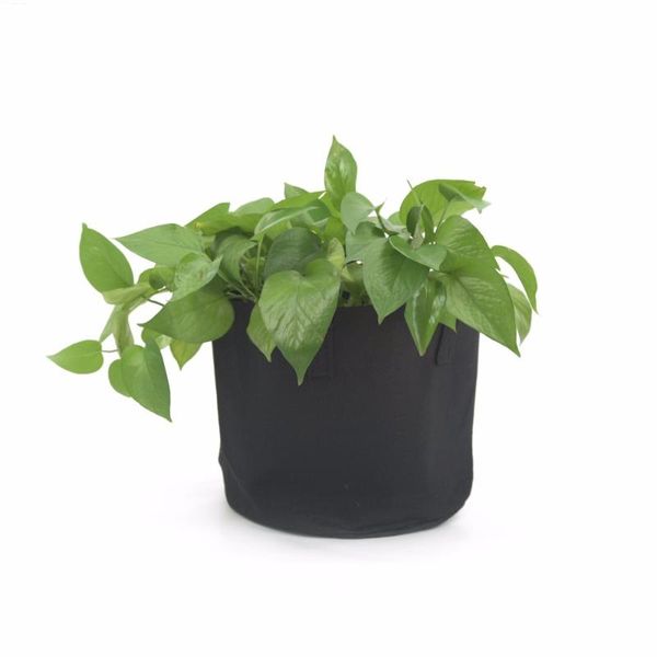 planters & pots black plants growing bag vegetable flowe planting farm home grow
planters & pots black plants growing bag vegetable flowe planting farm home grow