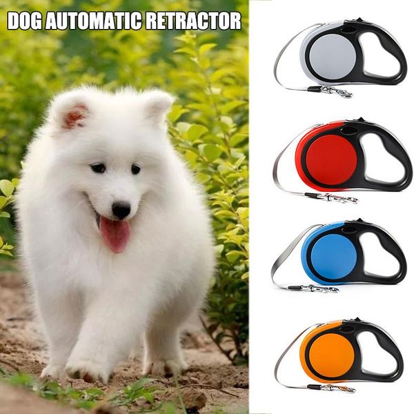 dog collars & leashes retractable leash walking perfect for small medium large dogs puppy supplies tue88
dog collars & leashes retractable leash walking perfect for small medium large dogs puppy supplies tue88