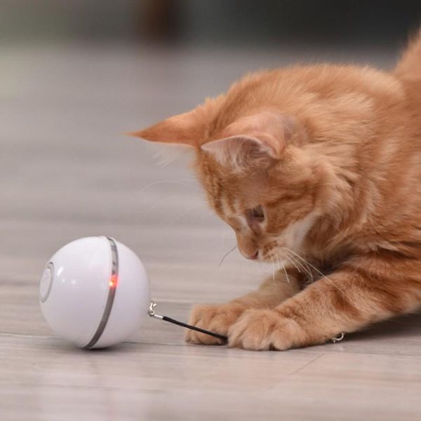 cat toys intelligent electric toy ball rolling led flashing interactive usb rechargeable pet product .
cat toys intelligent electric toy ball rolling led flashing interactive usb rechargeable pet product .