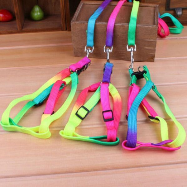 dog collars & leashes colorful pet leads supply special leash harness nylon adjustable collar muliti color for dogs bust 25cm-45cm
dog collars & leashes colorful pet leads supply special leash harness nylon adjustable collar muliti color for dogs bust 25cm-45cm
