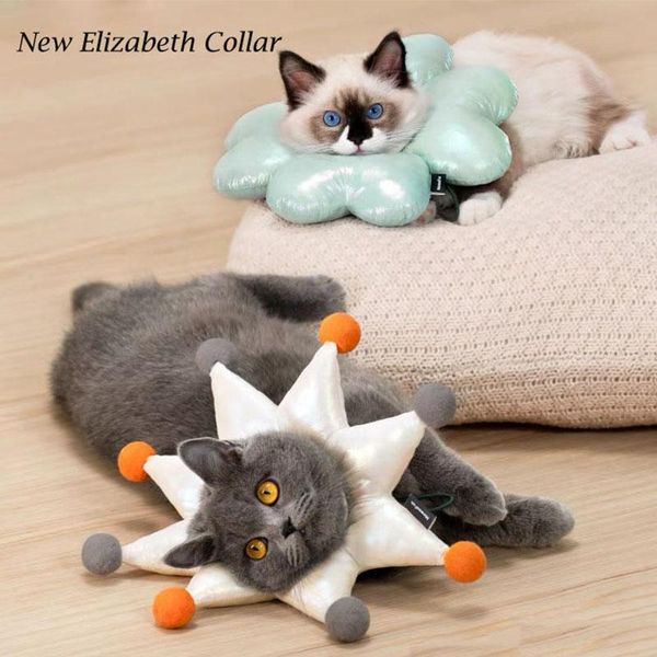 cat collars & leads fashion anti-bite lick collar wound healing dogs pet protective elizabeth dog neck cone recovery circle
cat collars & leads fashion anti-bite lick collar wound healing dogs pet protective elizabeth dog neck cone recovery circle