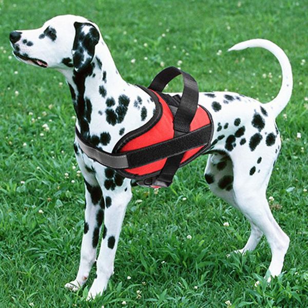 dog collars & leashes cat adjustable reflective breathable vest puppy harness pet outdoor walking supplies chain led collar
dog collars & leashes cat adjustable reflective breathable vest puppy harness pet outdoor walking supplies chain led collar