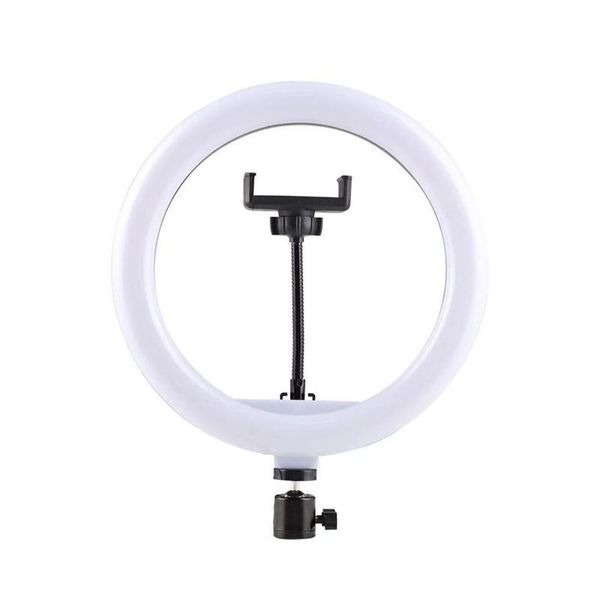 flash heads 10inch selfie makeup fill with tripod head pography studio for phone live streaming led rgb dimmable ring light cellphone
flash heads 10inch selfie makeup fill with tripod head pography studio for phone live streaming led rgb dimmable ring light cellphone
