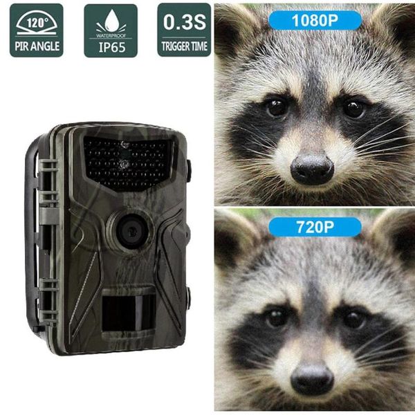 hunting cameras hc804a trail camera 20mp 1080p wildlife tracking cam for with night vision motion activated
hunting cameras hc804a trail camera 20mp 1080p wildlife tracking cam for with night vision motion activated