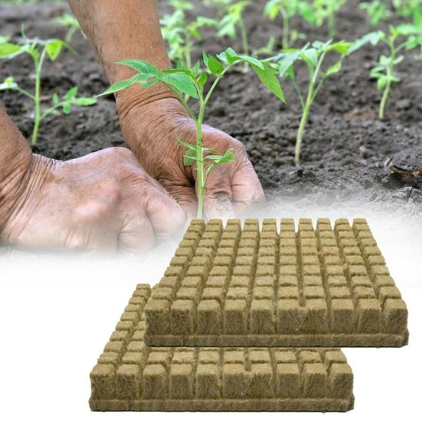 planters & pots farm, garden plant seed cultivation, nursery block rockwool sheet propagation cloning raising hydroponic
planters & pots farm, garden plant seed cultivation, nursery block rockwool sheet propagation cloning raising hydroponic