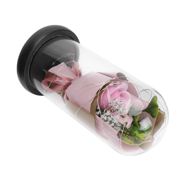 decorative flowers & wreaths 1pc glass cover preserved flower ornament with lights for christmas lover's day
decorative flowers & wreaths 1pc glass cover preserved flower ornament with lights for christmas lover's day