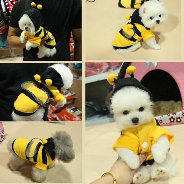 pet fleece hoodies dog warm clothes yellow bee halloween costume kitten cat teddy hiromi ropa de perrito apparel
pet fleece hoodies dog warm clothes yellow bee halloween costume kitten cat teddy hiromi ropa de perrito apparel