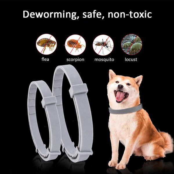 pet collar anti flea ticks mosquitoes dog cat tag outdoor protective adjustable long-term protection drop collars & leashes
pet collar anti flea ticks mosquitoes dog cat tag outdoor protective adjustable long-term protection drop collars & leashes