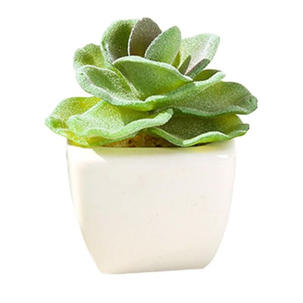 artificial succulents plant mini fake bonsai decor simulation potted plant multiple styles for home office school decoration
artificial succulents plant mini fake bonsai decor simulation potted plant multiple styles for home office school decoration