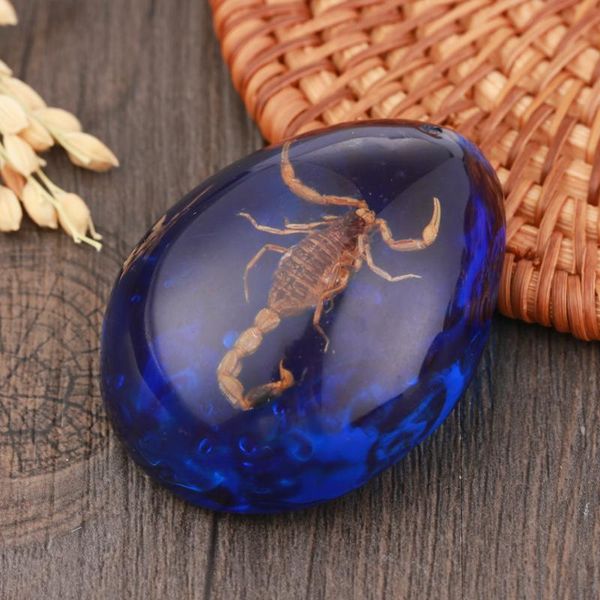 decorative objects & figurines 1pc fashion natural insects amber stone ornament for jewelry scorpions butterfly crab decorations diy craft p
decorative objects & figurines 1pc fashion natural insects amber stone ornament for jewelry scorpions butterfly crab decorations diy craft p
