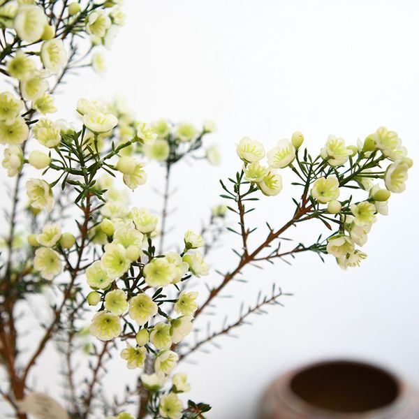 pleasant to the eye white wintersweet woody macrume flower arrangement materials table fake silk flowers decorative & wreaths
pleasant to the eye white wintersweet woody macrume flower arrangement materials table fake silk flowers decorative & wreaths