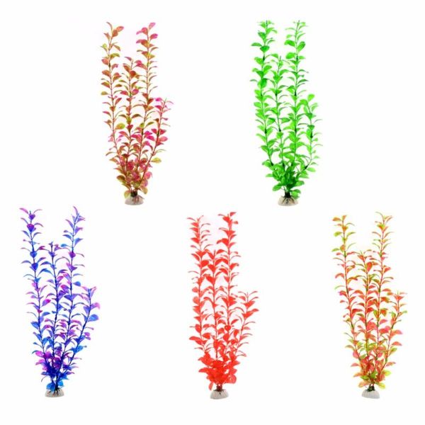 decorations 1 pcs simulation artificial plants water grass aquarium fish tank decoration landscape ornament plastic aquatic plant
decorations 1 pcs simulation artificial plants water grass aquarium fish tank decoration landscape ornament plastic aquatic plant