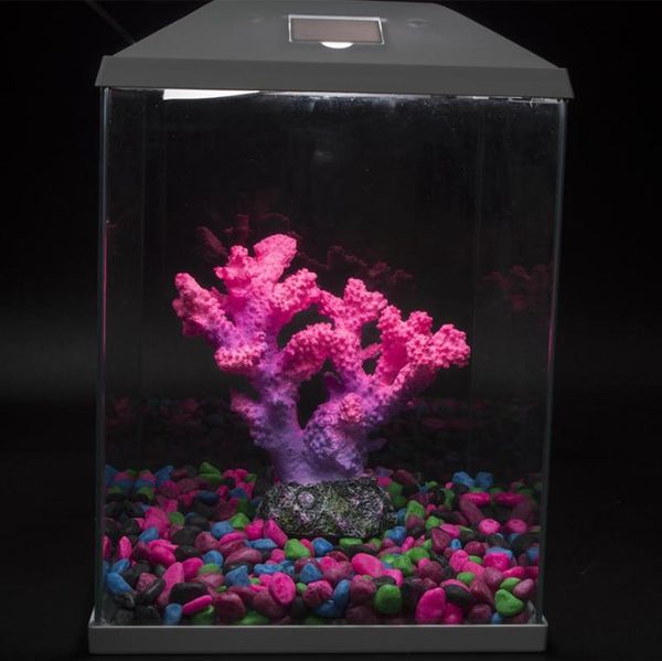 aquatic simulation ornaments coral aquarium crafts color beautiful fish prefer trees in water scenery decorations
aquatic simulation ornaments coral aquarium crafts color beautiful fish prefer trees in water scenery decorations