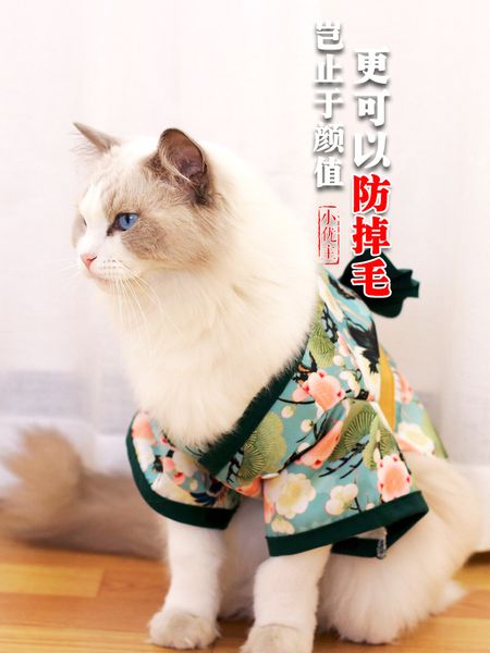 cat cloth pet summer thin cute princs spring small net red anti hair loss vt english short be cat
cat cloth pet summer thin cute princs spring small net red anti hair loss vt english short be cat