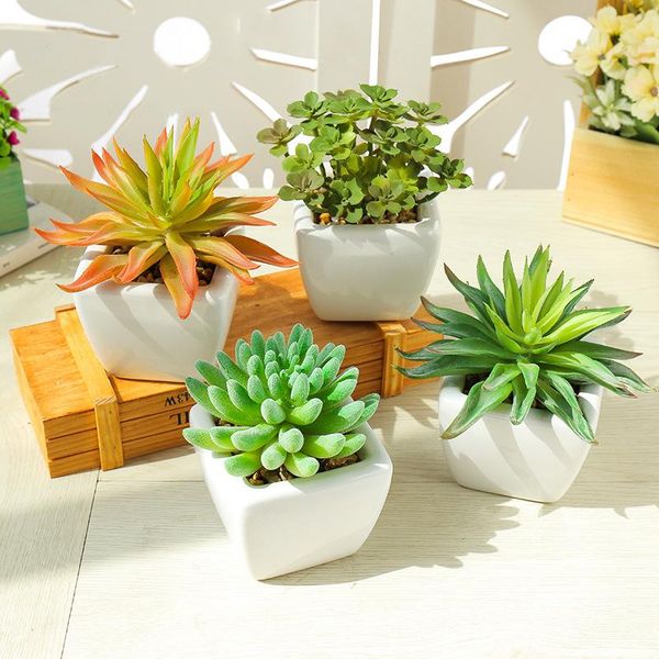 artificial succulent plants mini bonsai fake with pots potted garden decorative flower flowers & wreaths
artificial succulent plants mini bonsai fake with pots potted garden decorative flower flowers & wreaths