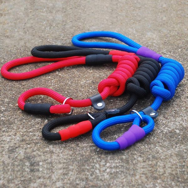 12pcs/lot pet dog traction rope puppy training nylon belt pets leads collars pibch s m l & leashes
12pcs/lot pet dog traction rope puppy training nylon belt pets leads collars pibch s m l & leashes