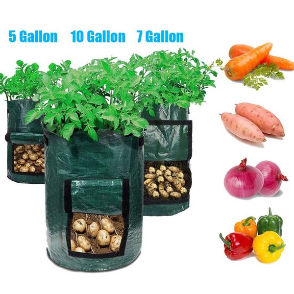 planters & pots 5 7 10 gallon potato grow container bag diy planter pe cloth planting vegetable gardening thicken pot
planters & pots 5 7 10 gallon potato grow container bag diy planter pe cloth planting vegetable gardening thicken pot
