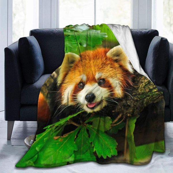 blankets christmas home decoration red panda climbs a tree blanket sheets suitable bedroom living birthday boys gifts 40x50
blankets christmas home decoration red panda climbs a tree blanket sheets suitable bedroom living birthday boys gifts 40x50
