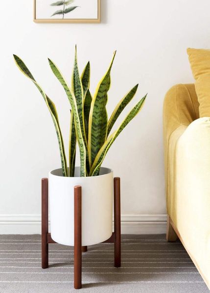 indoor plant flower pot planter stand beech wood holder wooden floor potted rack planters & pots
indoor plant flower pot planter stand beech wood holder wooden floor potted rack planters & pots