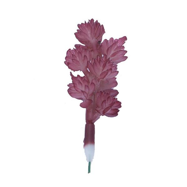 decorative flowers & wreaths realistic artificial succulent small plastic plants unpotted for home garden decoration (autumn color)
decorative flowers & wreaths realistic artificial succulent small plastic plants unpotted for home garden decoration (autumn color)