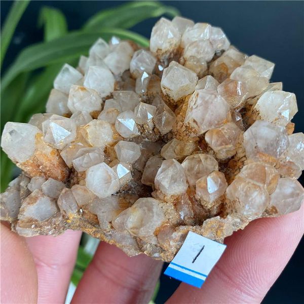 decorative objects & figurines rare natural red crystal quartz pineapple cluster flower specimen
decorative objects & figurines rare natural red crystal quartz pineapple cluster flower specimen