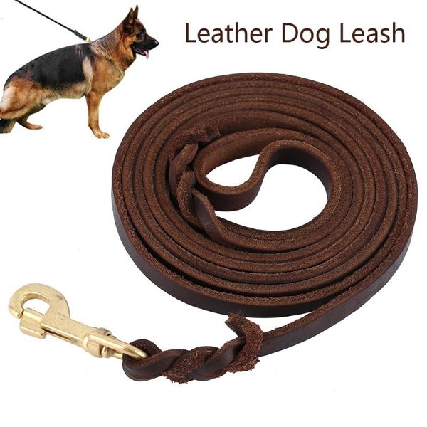 dog collars & leashes leather collar leash german shepherd pet genuine for small medium large dogs
dog collars & leashes leather collar leash german shepherd pet genuine for small medium large dogs