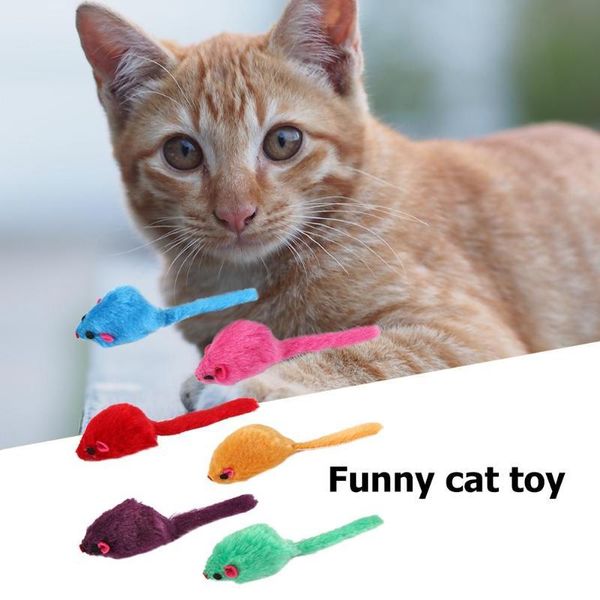 cat toys 12pcs playing assorted colors realistic sound wearproof false mouse for kitten pet interactive training accessories
cat toys 12pcs playing assorted colors realistic sound wearproof false mouse for kitten pet interactive training accessories