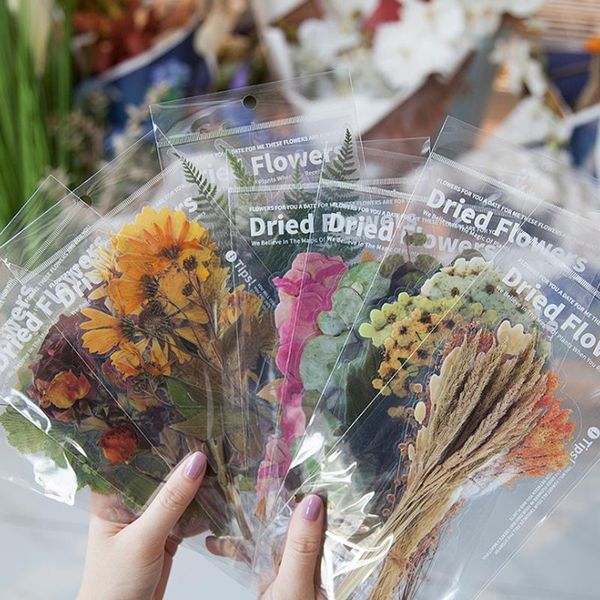 exquisite pet sstickers weekend florist series plant diary diy material stickers po decoration gift wrap
exquisite pet sstickers weekend florist series plant diary diy material stickers po decoration gift wrap