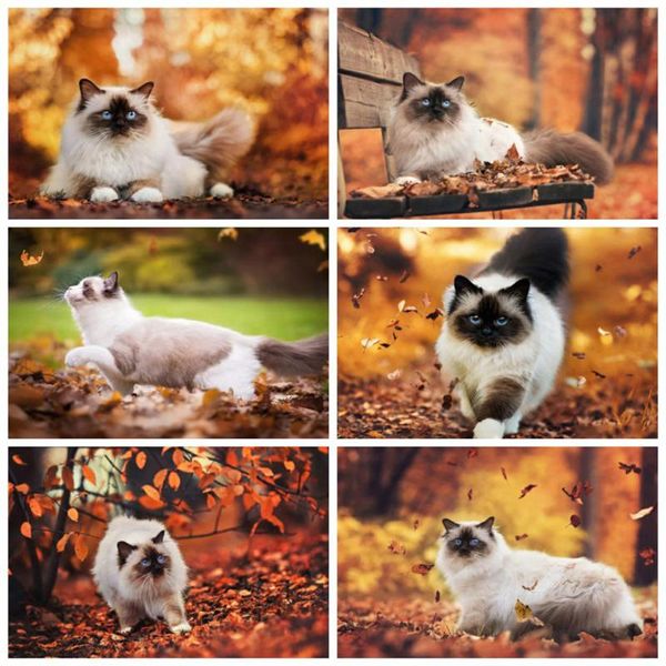 diamond painting evershine embroidery animal mosaic kits cat cross stitch autumn handmade gift needlework wall decor
diamond painting evershine embroidery animal mosaic kits cat cross stitch autumn handmade gift needlework wall decor