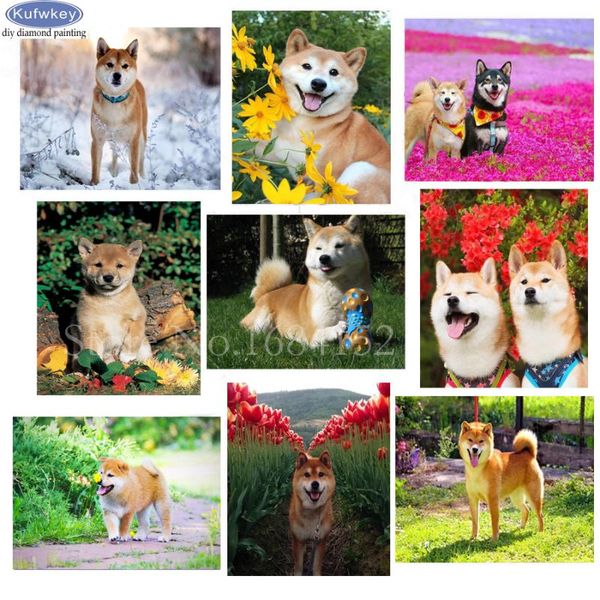 diamond painting 5d diy painting"shiba inu dog"diamond embroidery bead cross stitch mosaic full square drill paint whit
diamond painting 5d diy painting"shiba inu dog"diamond embroidery bead cross stitch mosaic full square drill paint whit