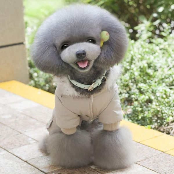 winter warm pet dog clothes outdoor windproof jackets doggie down apparel
winter warm pet dog clothes outdoor windproof jackets doggie down apparel