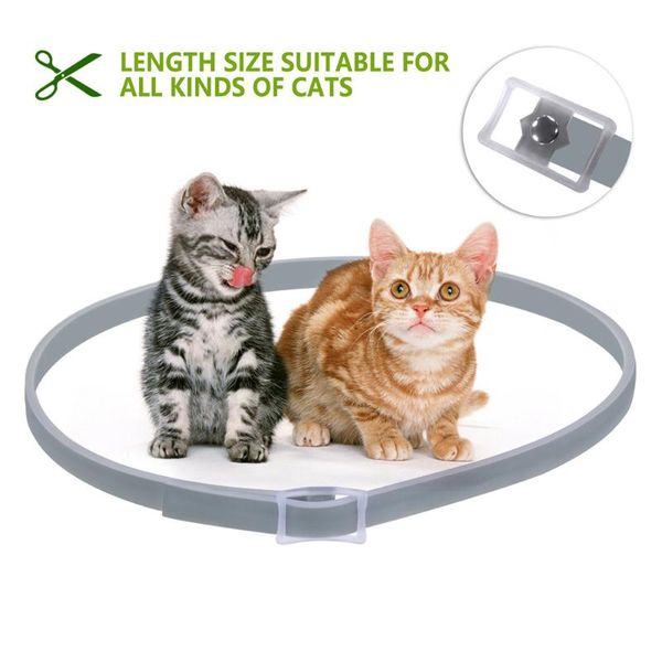 dog collars & leashes collar anti flea mosquitoes ticks insect waterproof pet 8 months protection accessories
dog collars & leashes collar anti flea mosquitoes ticks insect waterproof pet 8 months protection accessories
