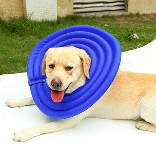 elizabeth dog recovery collar soft comfy anti-bite/lick cone e-collar cat pet collars & leads
elizabeth dog recovery collar soft comfy anti-bite/lick cone e-collar cat pet collars & leads