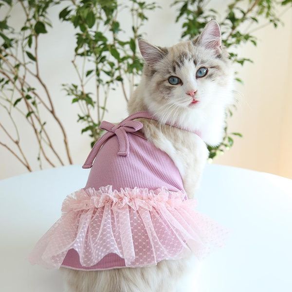 summer korean sling mesh skirt for cats fashion tulle cat one-piece dress dog clothes costumes
summer korean sling mesh skirt for cats fashion tulle cat one-piece dress dog clothes costumes