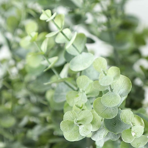 decorative flowers & wreaths decoration traditional plant artificial simulation eucalyptus leaf fake leaves
decorative flowers & wreaths decoration traditional plant artificial simulation eucalyptus leaf fake leaves