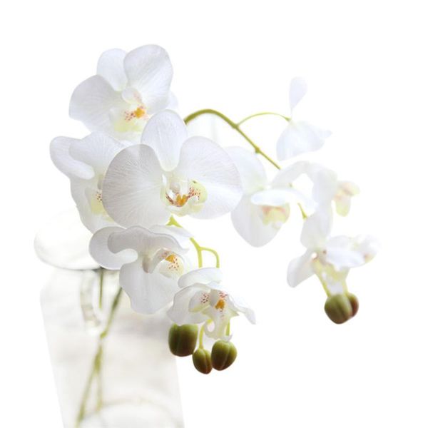 colors artificial flowers butterfly orchid diy party home wedding decoration multi-use fake plants wholesale 40ja22 decorative & wreaths
colors artificial flowers butterfly orchid diy party home wedding decoration multi-use fake plants wholesale 40ja22 decorative & wreaths