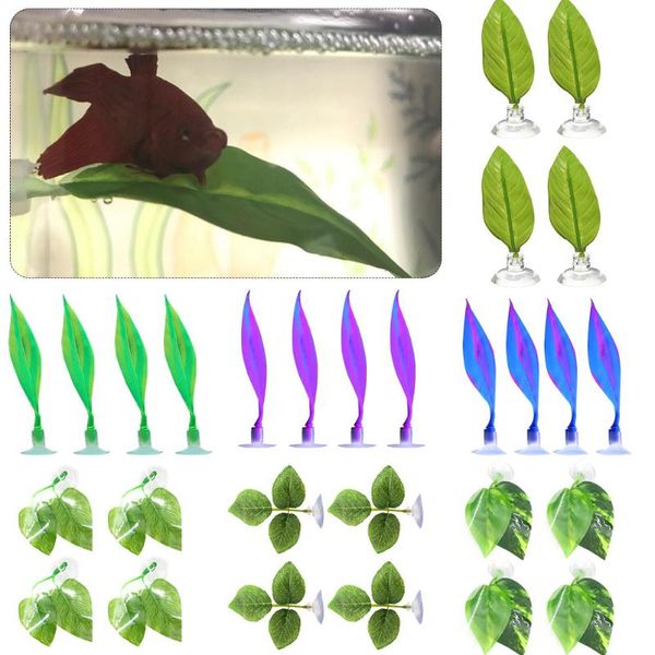 4pcs natural habitat betta fish spawning ground vivid aquarium leaf pad fake with suction cup home resting bed simulating decorations
4pcs natural habitat betta fish spawning ground vivid aquarium leaf pad fake with suction cup home resting bed simulating decorations