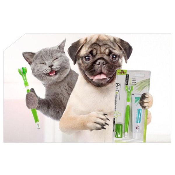pet toothbrush toothpaste set cat and dog oral hygiene teeth cleaning dental tools finger tooth back up brush care travel & outdoors 
pet toothbrush toothpaste set cat and dog oral hygiene teeth cleaning dental tools finger tooth back up brush care travel & outdoors