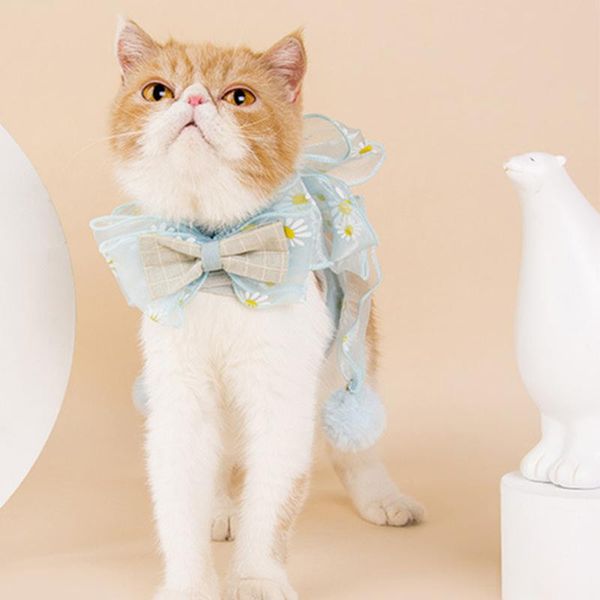 cat collars & leads universal vest strap with bow pet supplies puppy collar travel portable quick release dog harness leash protective walki
cat collars & leads universal vest strap with bow pet supplies puppy collar travel portable quick release dog harness leash protective walki