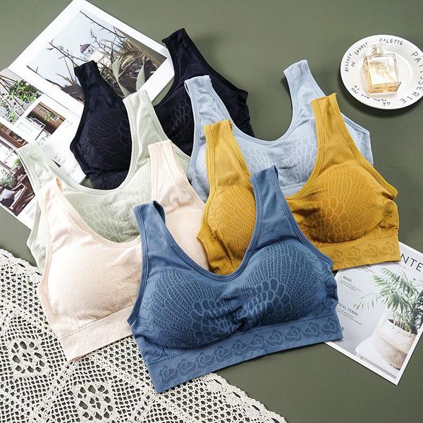 yoga outfit summer crop underwear women seamless sport bra running beauty back vest bralette push up tube sportwear gym 2021
yoga outfit summer crop underwear women seamless sport bra running beauty back vest bralette push up tube sportwear gym 2021