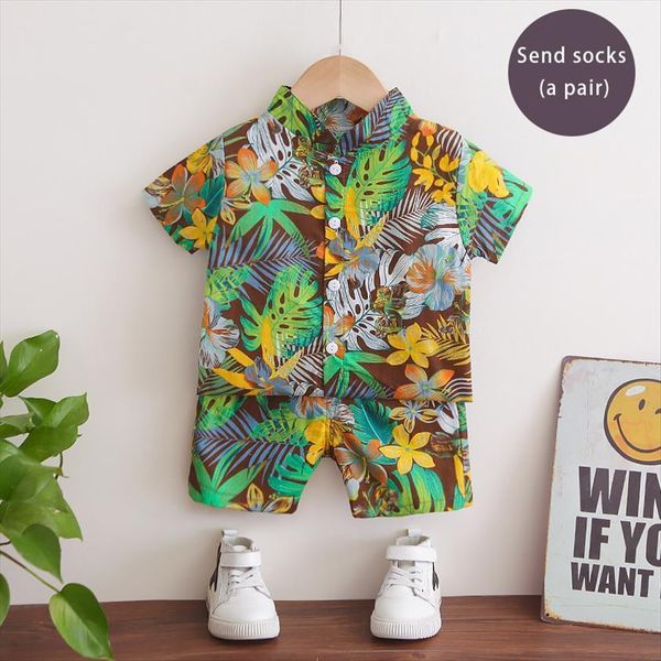 summer childrens clothing boys girls short sleeve shirt shorts suit beach fashion baby two piece tide printed hawaii kids set, White
summer childrens clothing boys girls short sleeve shirt shorts suit beach fashion baby two piece tide printed hawaii kids set, White