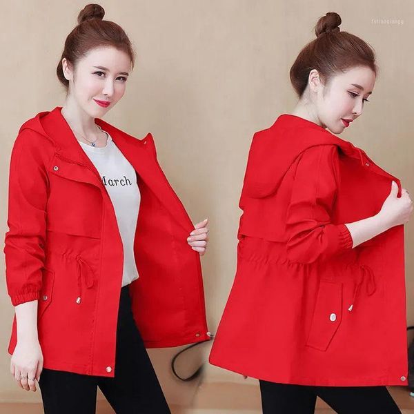 women's jackets 2021 autumn women jacket long sleeve female windbreaker loose casual hooded coat basic outerwear plus size 3xl a556, Black;brown
women's jackets 2021 autumn women jacket long sleeve female windbreaker loose casual hooded coat basic outerwear plus size 3xl a556, Black;brown