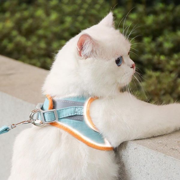 dog collars & leashes pet chest harness reflective and breathable leash small vest sport for medium outdoor
dog collars & leashes pet chest harness reflective and breathable leash small vest sport for medium outdoor