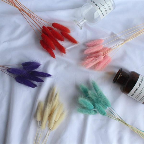 other accessories 10 pcs/ lot natural dried flowers rose petals for decoration wedding marriage room, White
other accessories 10 pcs/ lot natural dried flowers rose petals for decoration wedding marriage room, White