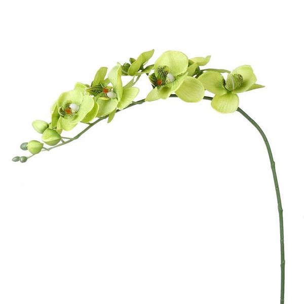 decorative flowers & wreaths 1 branch butterfly orchid artificial flower for home decoration wedding - green
decorative flowers & wreaths 1 branch butterfly orchid artificial flower for home decoration wedding - green