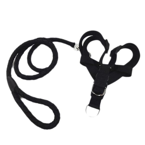 leading leash nylon traction rope adjustable puppy back chest strap walking pet chain dog running hand products collars & leashes
leading leash nylon traction rope adjustable puppy back chest strap walking pet chain dog running hand products collars & leashes