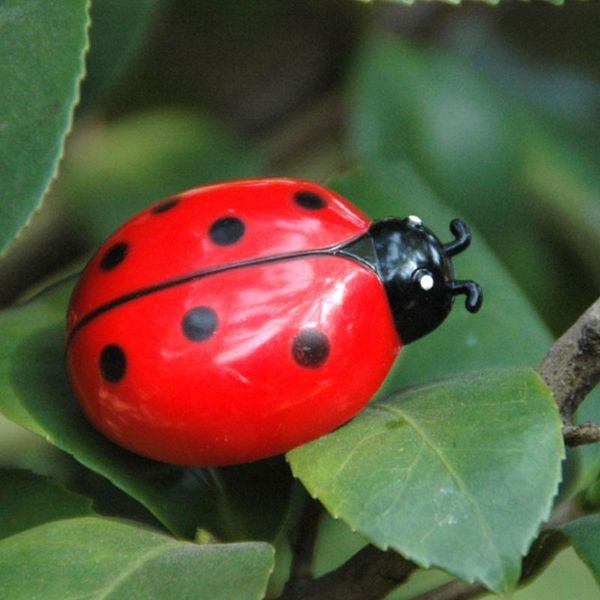 cat toys teaser interactive pet beetle cicada auto electric walking insect mini 40ja
cat toys teaser interactive pet beetle cicada auto electric walking insect mini 40ja